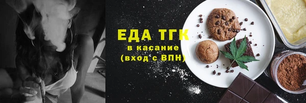 индика Волоколамск