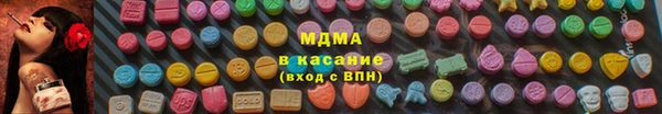 индика Волоколамск