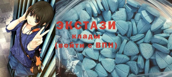индика Волоколамск