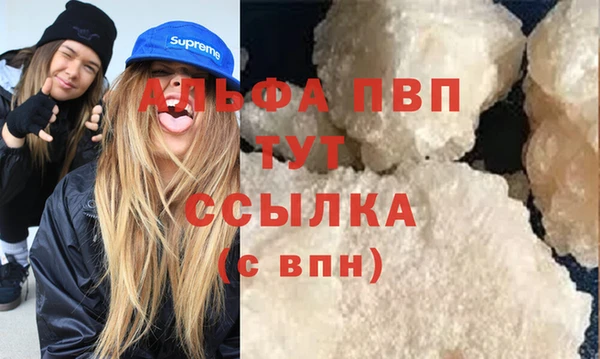 индика Волоколамск