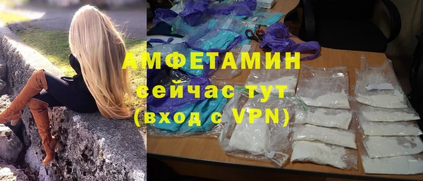 индика Волоколамск