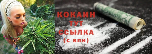 дурь Володарск