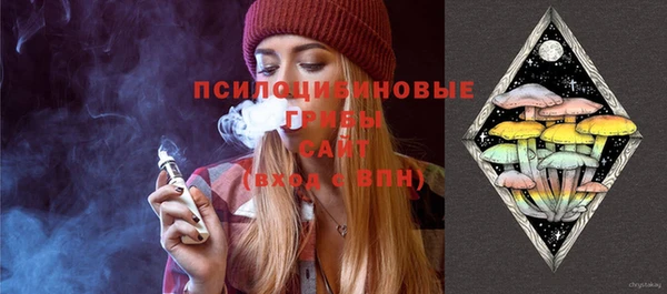 индика Волоколамск