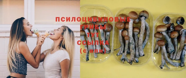 дурь Володарск