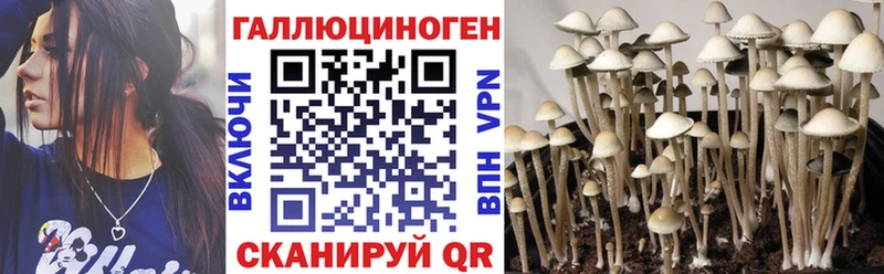 ссылка на мегу tor  даркнет сайт  Осташков  Галлюциногенные грибы Cubensis 