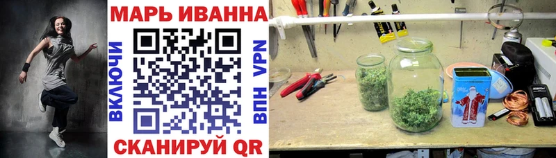 Конопля гибрид  Осташков 